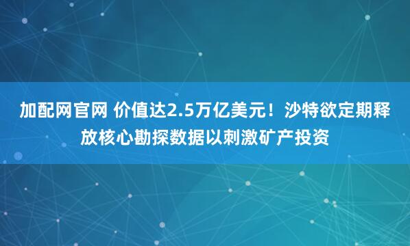 加配网官网 价值达2.5万亿美元！沙特欲定期释放核心勘探数据以刺激矿产投资