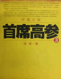 首席高参3